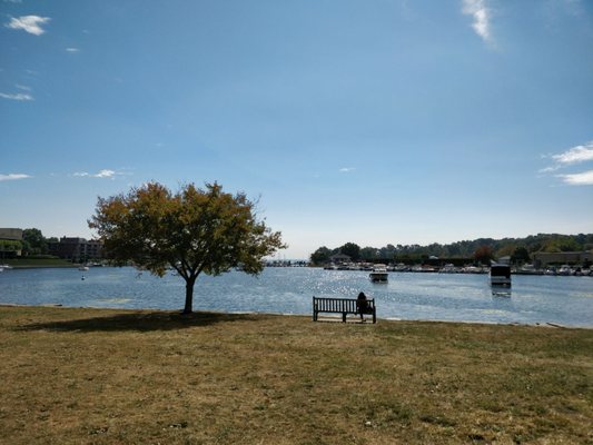 Roger Sherman Baldwin Park by null