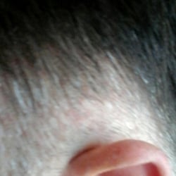 Sorrento Barbers - I asked for one inch sides--not bald.