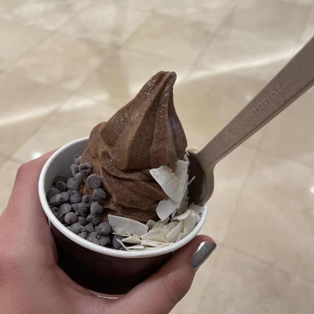 Chocolate Freeze with Toppings