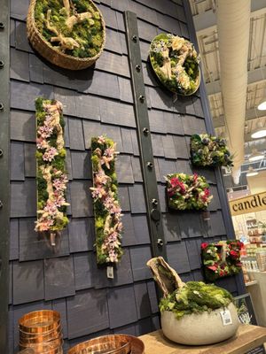 Anthropologie by null