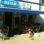 Photo of Destille Buer