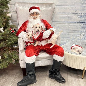 Pawty Little Things - Santa Paws - Pet Stores Near Me - Bellflower, California Pawty Little Things - Santa Paws - Pet Stores Near Me - Bellflower, California