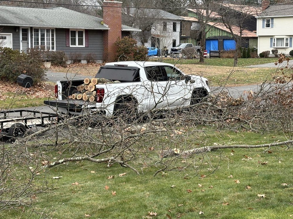 Two Brothers Tree Service & Landscaping - tree service in Chicopee, MA