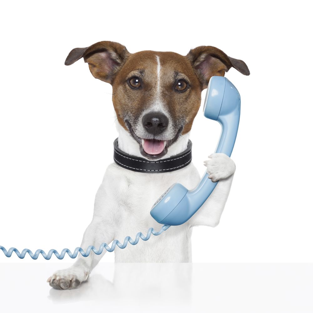 Hoffman Hound Care - pet boarding facility in Auburn, WA