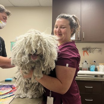 Austin Urban Veterinary Center - Veterinarians Near Me - Austin, Texas Austin Urban Veterinary Center - Veterinarians Near Me - Austin, Texas