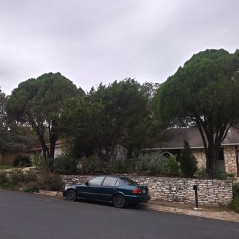 Prime Cuts Tree Service - Tree Services Near Me