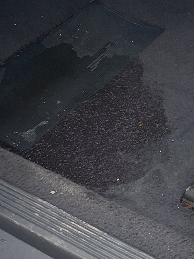 GATOR OF PALM BAY Updated September 2024 1101 Palm Bay Rd NE, Palm Bay, Florida Car