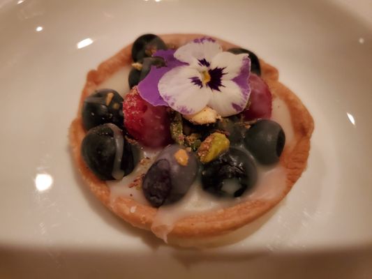 The Laurel Tree by null