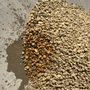 Photo of Big Earth Landscape Supply