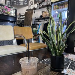 Mug Shot Coffee