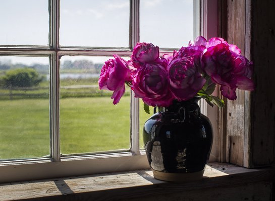 The Bridgehampton Florist by null