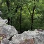 Photo of Palisades Park