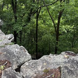 Palisades Park - Views from Palisades.