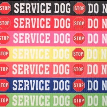 All Things Paracord & More - Custom-Design service dog ribbon added to any of 20 colors of nylon webbing. - Pet Stores Near Me - Keller, Texas All Things Paracord & More - Custom-Design service dog ribbon added to any of 20 colors of nylon webbing. - Pet Stores Near Me - Keller, Texas