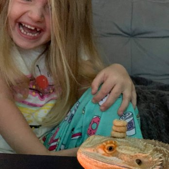 Iguana Snipers - Cheerios jenga with these two. Ava won but her bearded dragon (Pink ) also enjoyed it. - Wildlife Control Near Me Iguana Snipers - Cheerios jenga with these two. Ava won but her bearded dragon (Pink ) also enjoyed it. - Wildlife Control Near Me