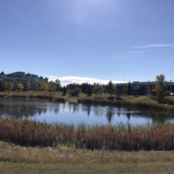Millwoods Town Centre Pond - Lakes Near Me - Edmonton, Alberta Millwoods Town Centre Pond - Lakes Near Me - Edmonton, Alberta