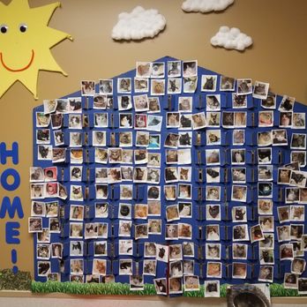 Adopt Pet Shelter - Animal Shelters Near Me - Naperville, Illinois