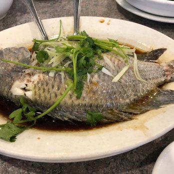 Chiuchow Man Chinese Restaurant - steamed tilapia with ginger & onions - daily special for $12.99 - Chinese Near Me - Mississauga, Ontario