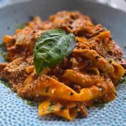 Bolognese