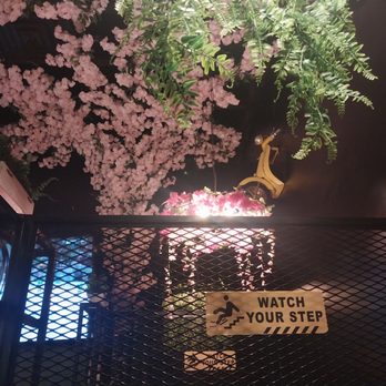 Avocado Sushi - Sushi Bars Near Me - Staten Island, New York Avocado Sushi - Sushi Bars Near Me - Staten Island, New York