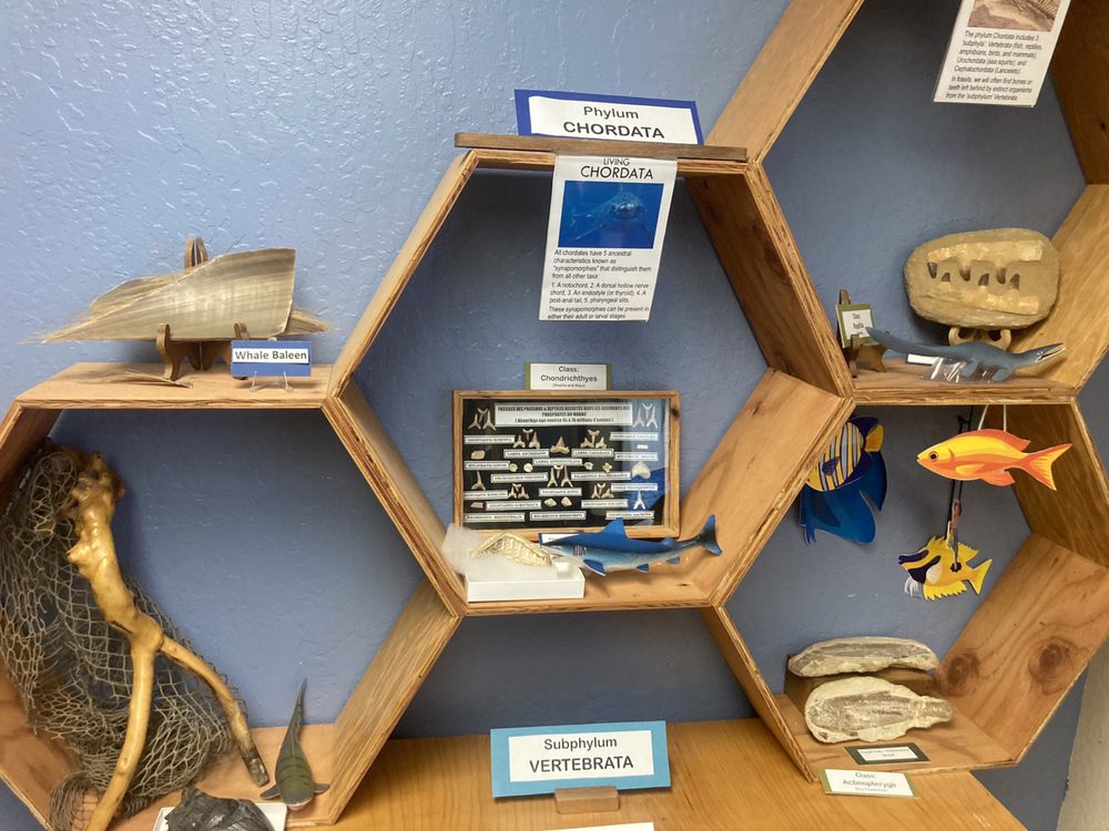 CHILDREN’S NATURAL HISTORY MUSEUM TEMP. CLOSED Updated September