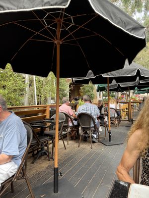 230 Forest Avenue by null