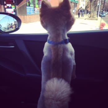 Bark Place - Pet Groomers Near Me - Chicago, Illinois Bark Place - Pet Groomers Near Me - Chicago, Illinois