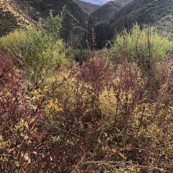Rose Valley Falls - View along the trail - Hiking Near Me - Ojai, California Rose Valley Falls - View along the trail - Hiking Near Me - Ojai, California