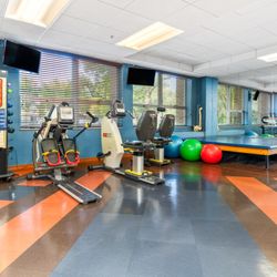 Elevate Care Chicago North - Therapy Gym