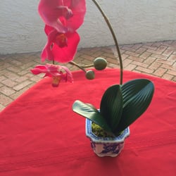 Orchid Original Design - So life like!