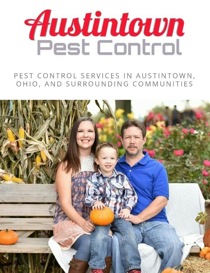 AUSTINTOWN PEST CONTROL Updated October 2024 17 Photos Youngstown