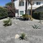 Photo of Low Desert Lawn Care