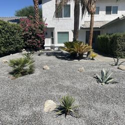 Low Desert Lawn Care - Front yard from the street & from front door.