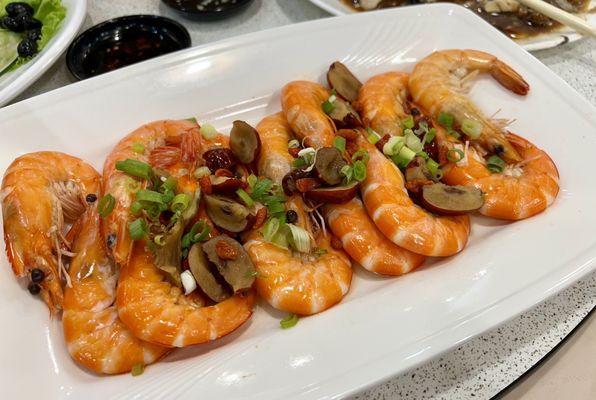 Hoya Spa Hotel by null