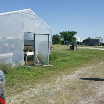Borntrager's Combination Shop - a car parked in front of a greenhouse - Health Markets Near Me - Beeville, Texas Borntrager's Combination Shop - a car parked in front of a greenhouse - Health Markets Near Me - Beeville, Texas