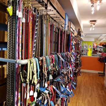 The Bone Appetite - Specialty Leashes and Collars - Pet Stores Near Me - Philadelphia, Pennsylvania