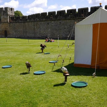 Alnwick Castle & Gardens - Falcons. - Landmarks & Historical Buildings Near Me - Alnwick, NBL Alnwick Castle & Gardens - Falcons. - Landmarks & Historical Buildings Near Me - Alnwick, NBL