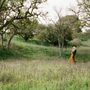 Photo of Joshua Spencer Photography