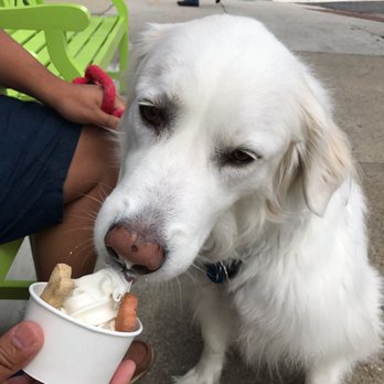 Bmore Licks - Ice Cream & Frozen Yogurt Near Me - Baltimore, Maryland