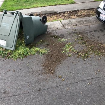 Big Junk USA Bay Area - The bin Ricardo lifted, hauled and cleaned up after. - Demolition Services Near Me