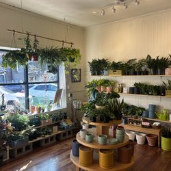 Pups Plants and Goods