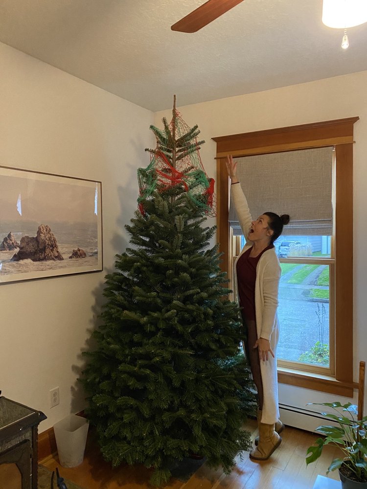 PENINSULA OPTIMIST CLUB MEMORIAL CHRISTMAS TREE LOT Updated August 2024 12 Reviews N