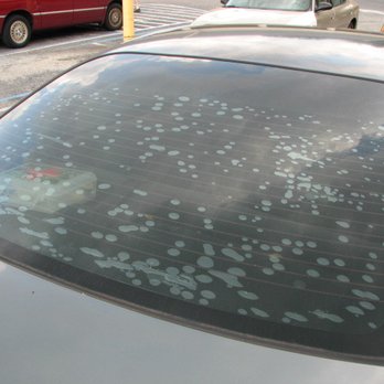 Vip Restylers - Auto Glass Services Near Me - Hayward, California Vip Restylers - Auto Glass Services Near Me - Hayward, California