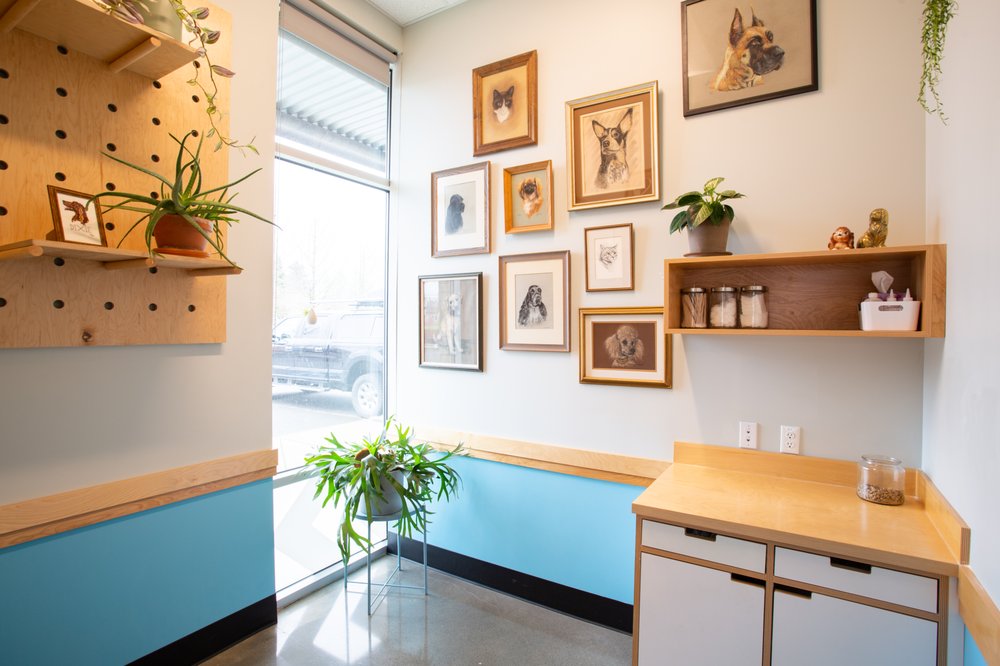 BROOKLYN YARD VETERINARY HOSPITAL Updated August 2024 36 Photos & 44 Reviews 1280 SE