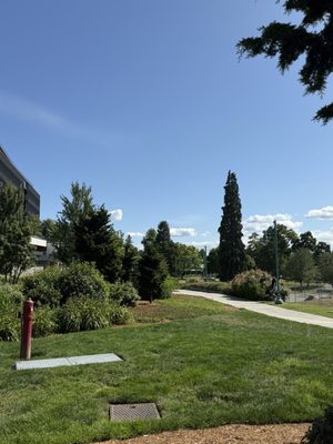 Kirkland Urban by null