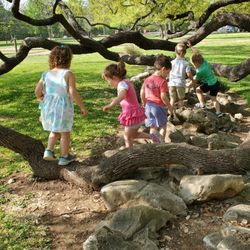 St Catherine's Preschool - Nature walks and exploration.