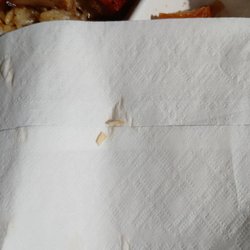 Stir Fry 88 - Chicken bone fragment