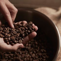 The Bean Counter