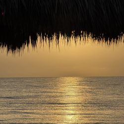 Shore Thing Tiki Cruises
