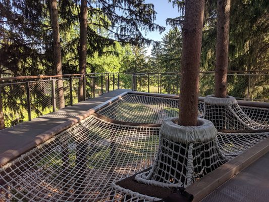 Dow Gardens and the Whiting Forest of Dow Gardens by null